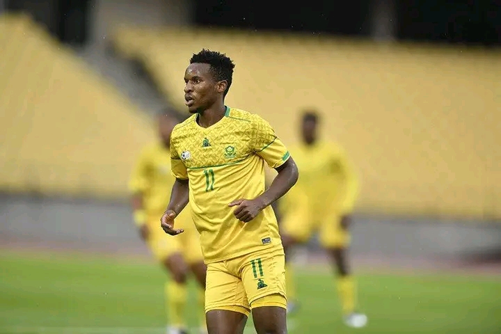 Bafana Bafana star Themba Zwane has revealed the two overseas players that he draws inspiration from as he reaches the back end of his career.