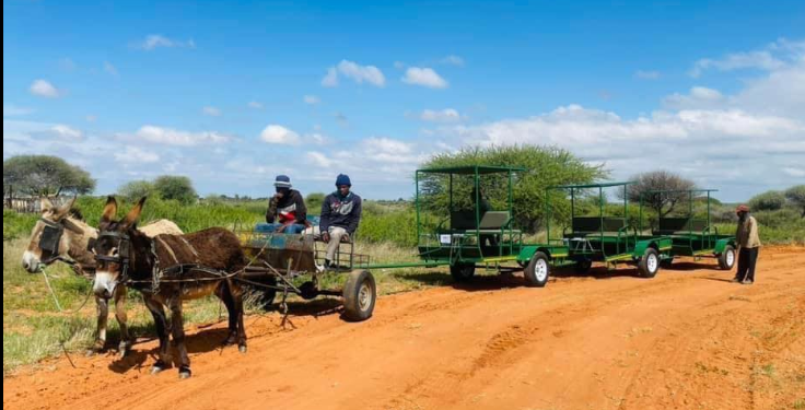 It has been reported that the North West government has spent around R780 000 buying donkey carts as they are looking to empower the community.