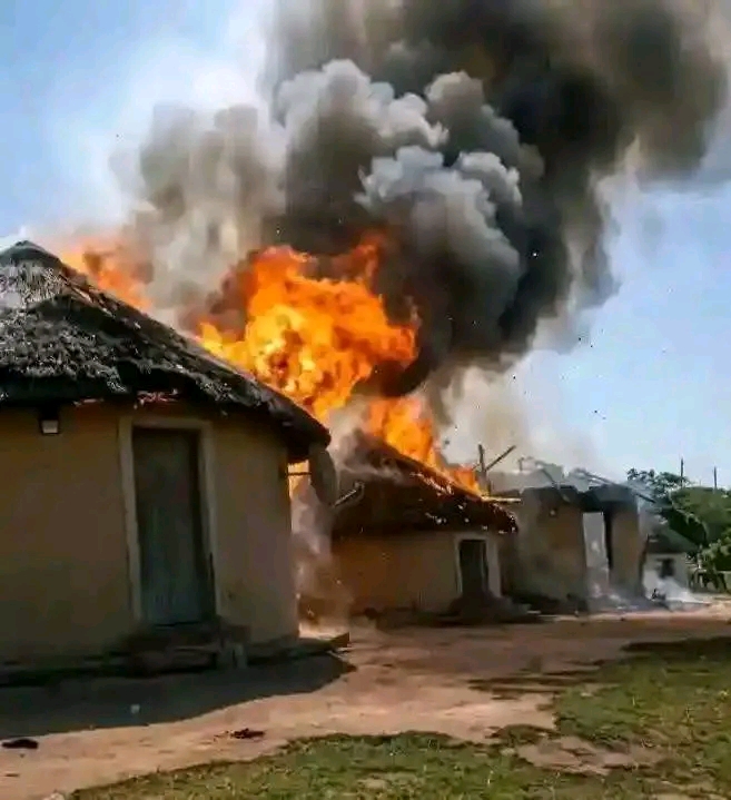 Ngizwe Mchunu